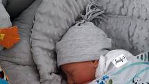 Patrik Salák z Horažďovic se narodil v klatovské porodnici 2. května v 5:37 hodin (3120 g, 50 cm). Tatínek byl u porodu svého syna mamince Andree velkou oporou, pohlaví miminka věděli rodiče dopředu.