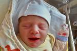 Adéla Baltová se narodila 12. února ve 12:35 mamince Anně a tatínkovi Martinovi z Plzně. Po příchodu na svět v plzeňské fakultní nemocnici vážila jejich prvorozená dcerka 2960 gramů a měřila 48 centimetrů.