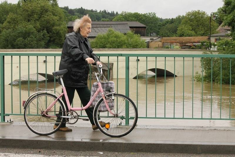 Rozvodněná Radbuza v Dobřanech.