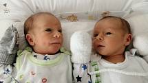 Dvojčata Matěj a Filip Houbovi se narodila 4. ledna 2021 mamince Veronice a tatínkovi Radkovi z Volduch. Matěj se narodil v 16:34 hodin, bráška Filip o tři minuty později. Po příchodu na svět ve FN Plzeň Lochotín vážil Matěj 2480 g a měřil 47 cm, Filip vá