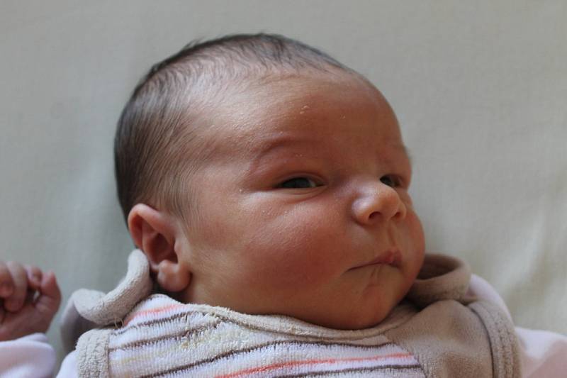 Prvorozený syn Petr se narodil 1.9. ve FN v Plzni  v 7:20 rodičům Lence a Petrovi Kratochvílovým z Plzně – Újezda. Sestřičky Péťovi při narození navážili 3,44 kg a naměřili 50 cm