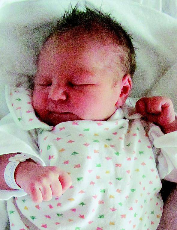 Kristýna Höferová z Nepomuku (2970 g, 48 cm) se narodila v klatovské porodnici 4. prosince v 16.06 hodin. Rodiče Michala a Martin Peha věděli dopředu, že Vanesa 3 roky bude mít sestřičku