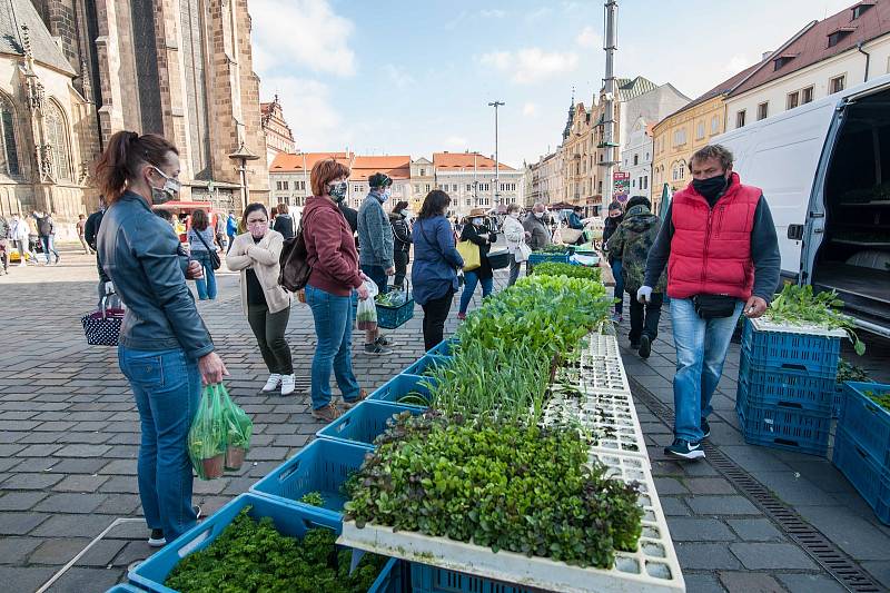 Farmářské trhy v Plzni na náměstí Republiky.