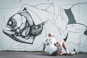 Street Art Festival Wallz v Plzni. Ilustrační foto.