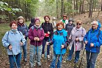 Městský obvod Plzeň 1 pořádá kurzy nordic walking.