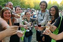 Více než pět tisíc návštěvníků si letos nenechalo ujít dvoudenní Doubravecké slavnosti vína na Habrmannově náměstí. Připravena byla široká nabídka z více než deseti moravských vinařství, cimbálovka i zábava pro nejmenší.