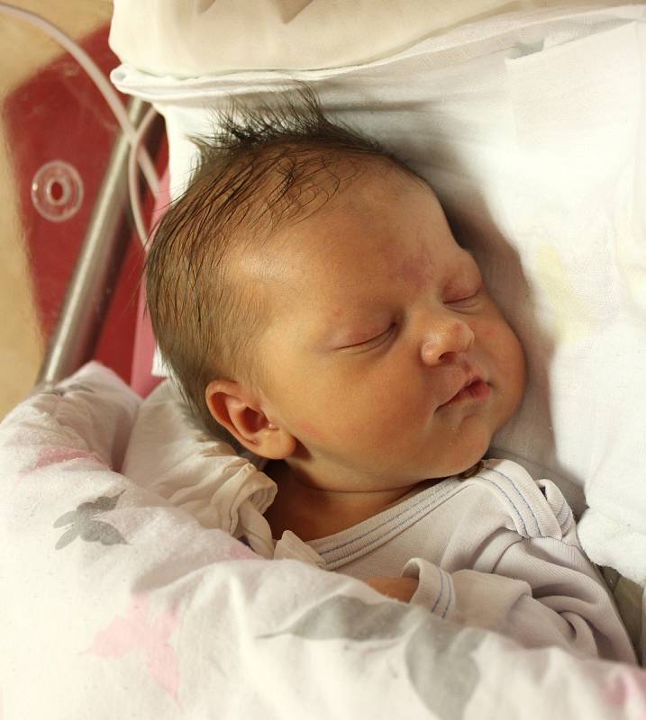 Agáta Havlová se narodila 22. února v 18:06 rodičům Janě a Petrovi ze Starého Plzence. Po příchodu na svět ve FN na Lochotíně vážila sestřička Denisy (12) 3020 gramů a měřila 48 centimetrů.