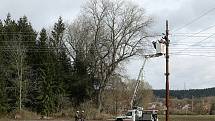 Technici ČEZu opavují poškozené vedení vysokého napětí nedaleko Křimic. Vedení poničil pád stromu způsobený poryvem silného vichru.