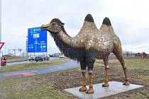 Při příjezdu do Plzně od Karlových Varů vítá řidiče kovová socha velblouda