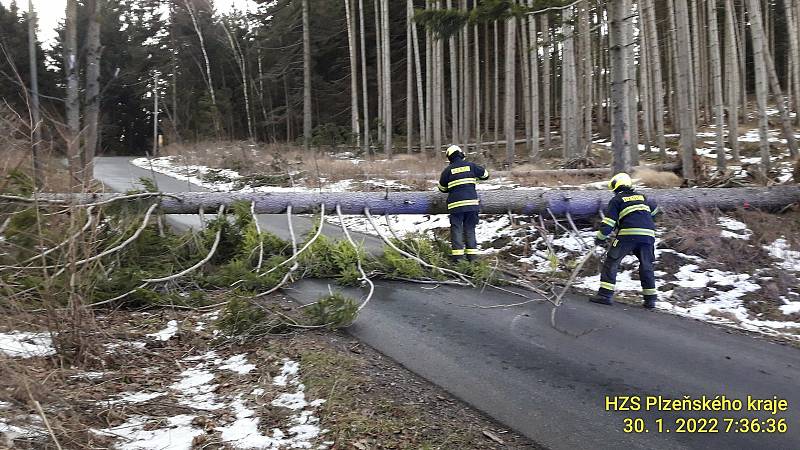 Hasiči Plzeňského kraje vyjeli k 29 případům, naštěstí nikdo neutrpěl újmu na zdraví. Na počasí tam tentokrát měli relativní štěstí, např. ve Středočeském kraji tamní hasiči řešili 411 událostí spojených se silným větrem.