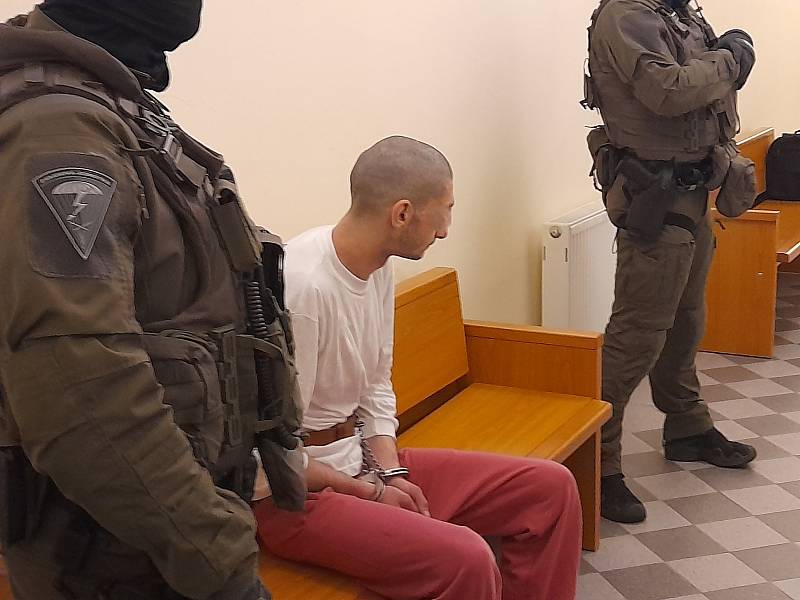 Dino N. (25), který v Plachého ulici v Plzni surově zavraždil svoji matku, byl vzat do vazby.