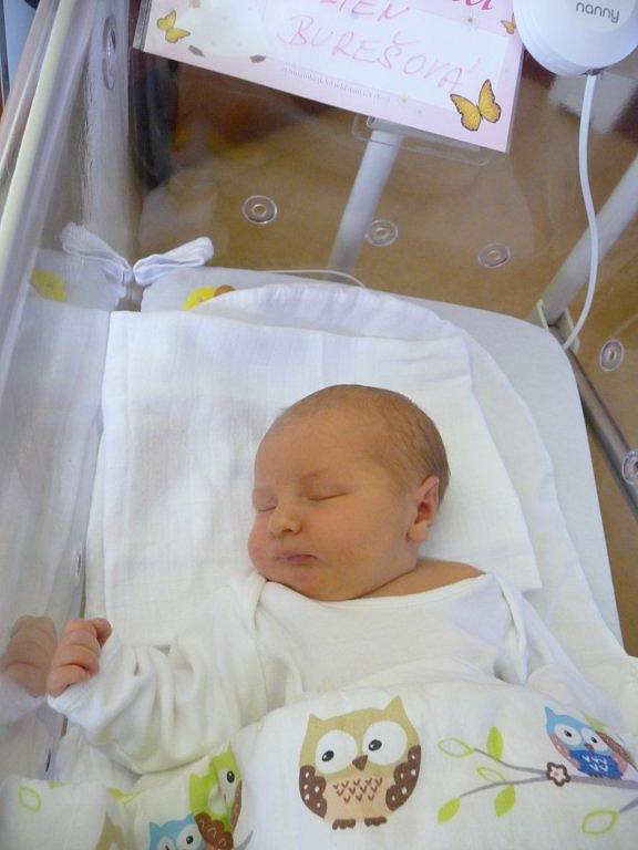 Lilien (3,77 kg, 51 cm) přišla na svět 14. srpna v 18:32 ve Fakultní nemocnici v Plzni. Z narození své první holčičky se radují rodiče Marcela a František Burešovi z Plzně.