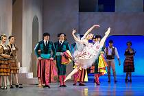 V sobotu 13. listopadu uvede Divadlo J. K. Tyla v Plzni premiéru nového nastudování baletu Don Quijote. Na snímku Miroslav Hradil.
