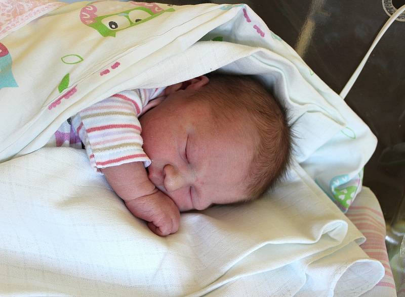 Rozálie Forejtová se narodila v porodnici U Mulačů 25. srpna ve 2:35 hodin (3120 g). Rodiče Lucie a Jan z Plzně věděli, že jejich druhorozené miminko bude zase holčička. Doma již mají skoro dvouletou Elišku.