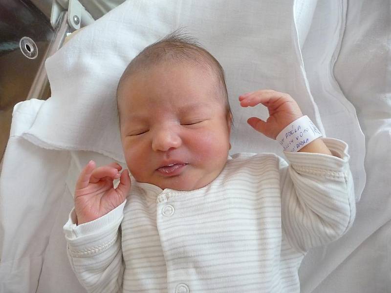 Adéla (3,31 kg, 49 cm) se narodila 28. října v 00:10 ve FN v Plzni. Na světě ji přivítali rodiče Radka a Pavel Holubovi z Plzně. Doma se na sestřičku těší Adámek (3,5)