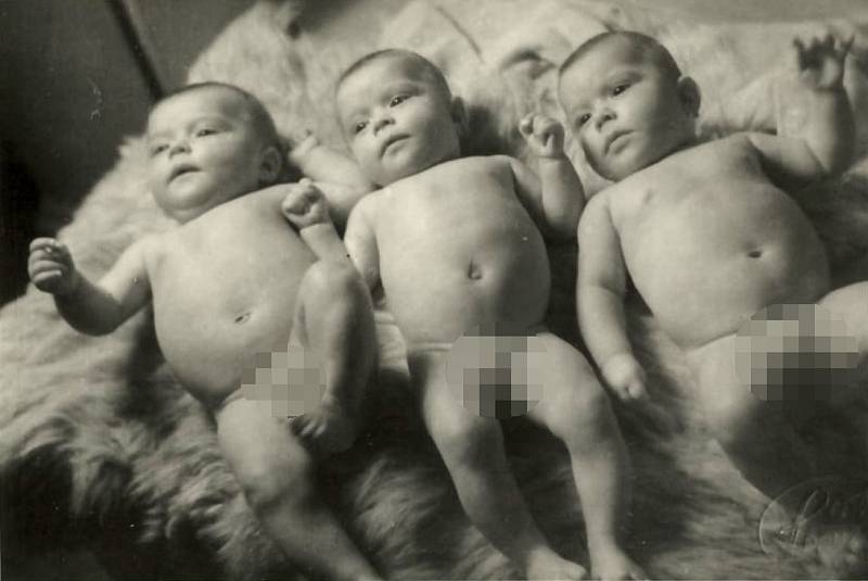 První trojčata v Plzni se narodila v roce 1952.