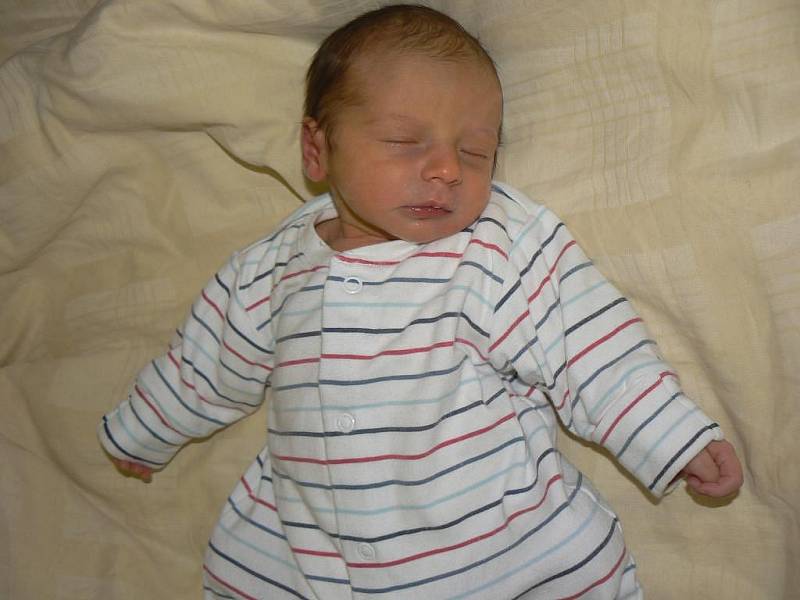 Jarmiĺe a Zdeňku Kalvodovým z Trnové se 1. října v 19.30 hod. narodila ve FN v Plzni prvorozená dcera, která dostala jméno Johanka (2,89 kg, 50 cm)