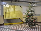 Vánoce ve věznici na Borech