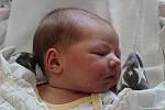 Vanesa Jurčová z Litic je druhorozeným miminkem rodičů Andrey a Dominika. Narodila se v plzeňské porodnici FN Lochotín 14. června 2022 v 16:54 hodin s mírami 3740 g a 50 cm. Doma se na sestřičku těšil skoro čtyřletý Dominik.