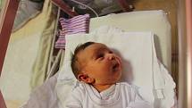 Charlotte Živníčková (3370 g, 49 cm) se narodila 27. října v 0:47 v plzeňské fakultní nemocnici. Rodiče Ivetta a Vítězslav z Kralovic přivítali prvorozenou dceru společně, tatínek byl u porodu velkou oporou.