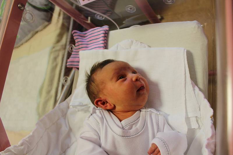Charlotte Živníčková (3370 g, 49 cm) se narodila 27. října v 0:47 v plzeňské fakultní nemocnici. Rodiče Ivetta a Vítězslav z Kralovic přivítali prvorozenou dceru společně, tatínek byl u porodu velkou oporou.