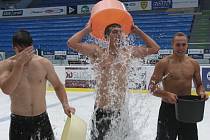 Ice Bucket Challenge dorazila i k plzeňským hokejistům