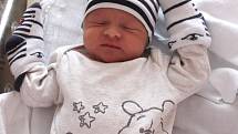 Alan Korsa se narodil 25. února ve 20:45 rodičům Kateřině a Alešovi z Červeného Hrádku. Po příchodu na svět v plzeňské FN na Lochotíně vážil jejich prvorozený synek 3090 gramů a měřil 50 centimetrů.