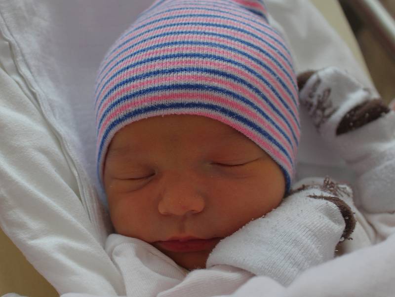 Ellie Ferencová se narodila 8. září v 19:48 mamince Denise a tatínkovi Jaroslavovi z Plzně. Po příchodu na svět ve Fakultní nemocnici na Lochotíně vážila jejich dcerka 3090 gramů a měřila 48 centimetrů.