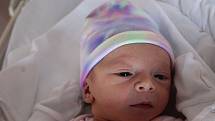 Saskie Táborová (2610 g) poprvé vykoukla na svět v porodnici FN Lochotín 4. září v 9:34 hodin. Rodiče Michaela a Josef z Plzně věděli, že jejich prvorozeným miminkem bude holčička.