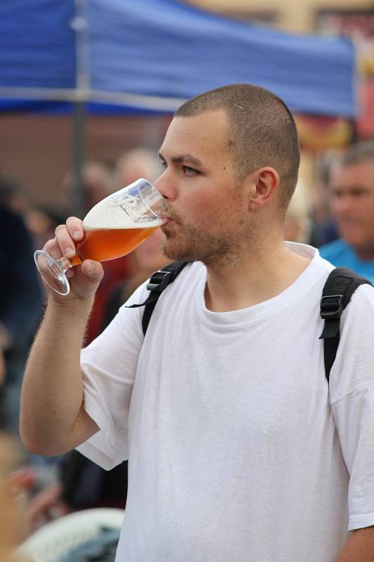 Na náměstí T.G.M. v Dobřanech se v sobotu konal pátý ročník Dobřanského Beerfestu.