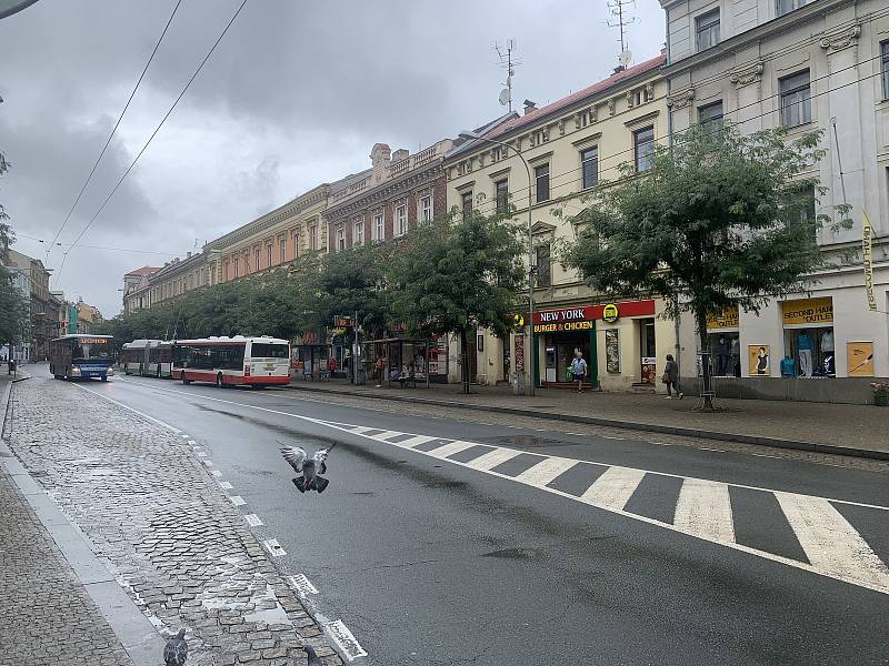 Ulice je od konce srpna loňského roku uzavřena v úseku od Škroupovy po Resslovu ulici a v opačném směru v úseku od Goethovy ulice po ulici V Šipce.