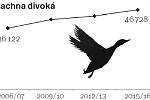 Počet zastřelených kachen divokých v daných sezonách