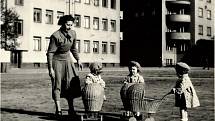 První trojčata v Plzni se narodila v roce 1952.