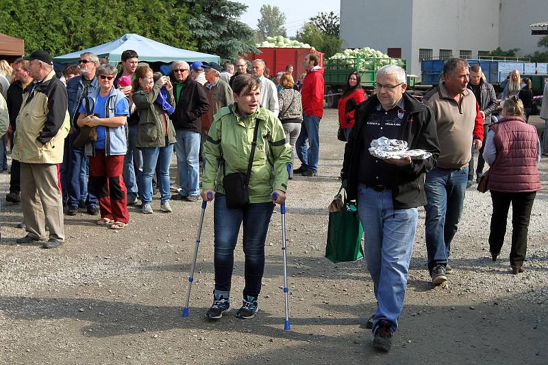 Festival zelí v Křimicích