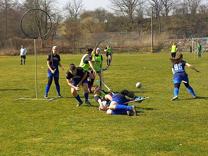 Litické fotbalové hřiště patřilo v sobotu 26. března nadšencům sportu, který se hraje na košťatech.