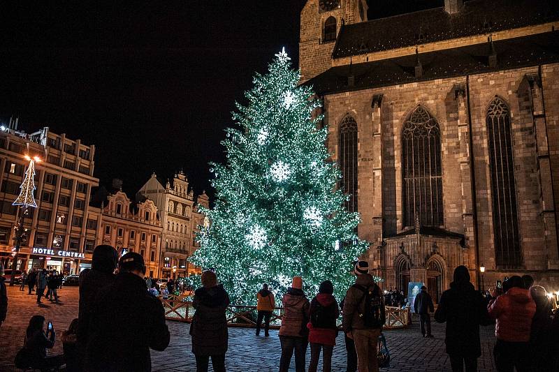 Vánoční strom na náměstí Republiky v Plzni.