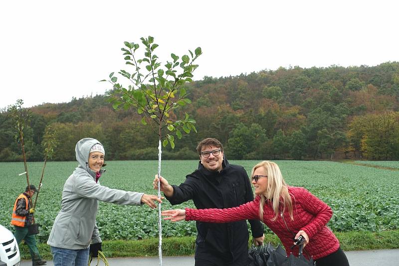 Pod Chlumem se už sází stromy, alej si tu prosadili obyvatelé Doubravky. Zleva autorka nápadu Eva Halámková, starosta Tomáš Soukup a místostarostka Lenka Kočová.