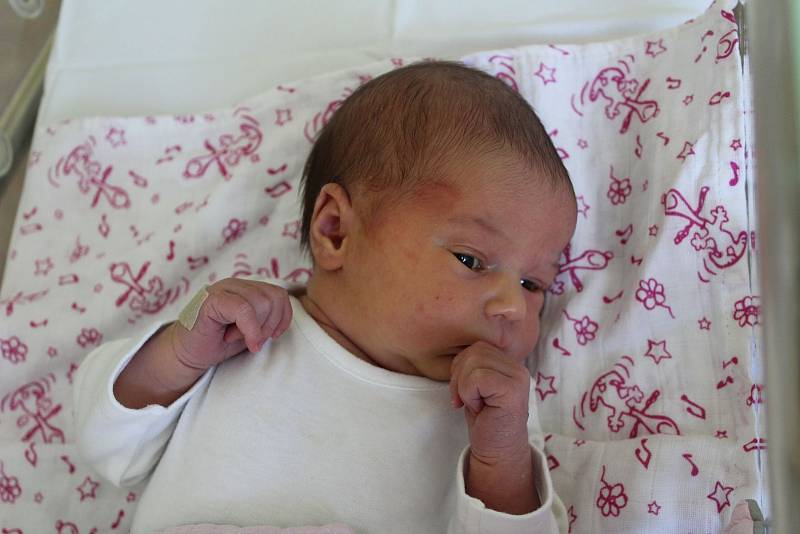 Tereza Sebránková (3120 g, 48 cm) z Kožlan se narodila 14. dubna 2022 v 11:58 hodin v porodnici Mulačovy nemocnice v Plzni. Rodiče Tereza a Vašek věděli dopředu, že jejich prvorozené miminko bude holčička.