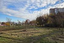 Výraznou proměnou prošlo v minulém týdnu prostranství ve Vojanově ulici v Plzni ve Skvrňanech, místo, které bylo dlouhodobě zatíženo nepořádkem a provizorními přístřešky lidí bez domova.