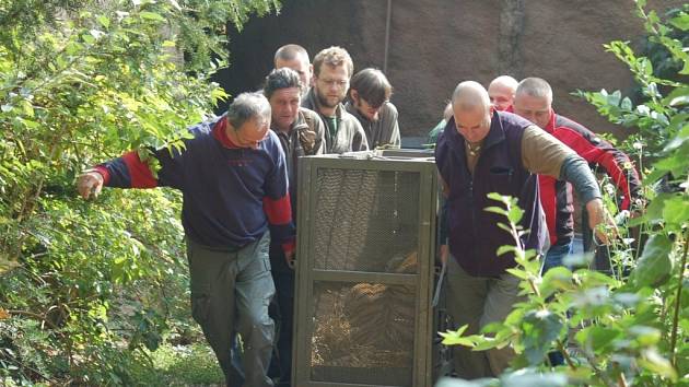 Odjezd Césara z plzeňské zoo