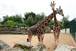 Plzeňská zoo v sobotu oslavila 90. výročí od svého založení