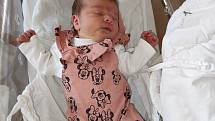 Nela Majerová (3440 g, 50 cm) se narodila 18. dubna v 6:46 hodin v plzeňské FN rodičům Michaele a Miroslavovi z Mirošova. Doma se na malou sestřičku těšil dvouletý bráška Filip.