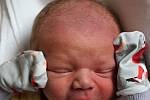 Tobias Hanzl se narodil 2. října v 18:26 mamince Lucii a tatínkovi Petrovi z Plzně. Po příchodu na svět ve Fakultní nemocnici na Lochotíně vážil jejich prvorozený synek 3220 gramů a měřil 49 centimetrů.