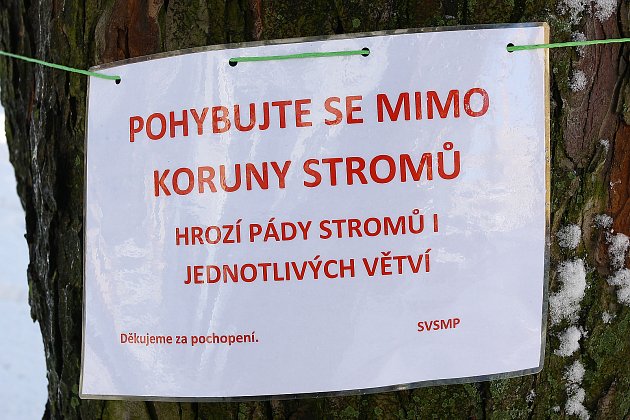 Miroslav Mačas ze Správy veřejného statku města Plzně vyvěšuje varování před nebezpečím pádu stromů