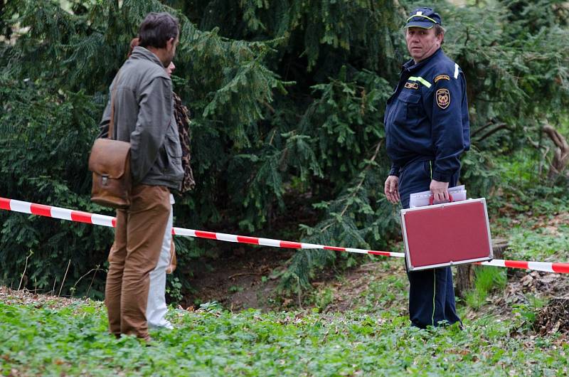 Policisté pročesávali Borský park