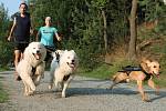 Plzeňané míří na nejtěžší závod světa v běhu se psem 