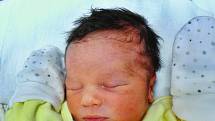 Jaroslav Musil se narodil 10. listopadu ve 4:08 mamince Haně a tatínkovi Jaroslavovi z Domažlic. Po příchodu na svět v plzeňské FN vážil bráška třináctileté Elly 2620 gramů a měřil 47 cm.