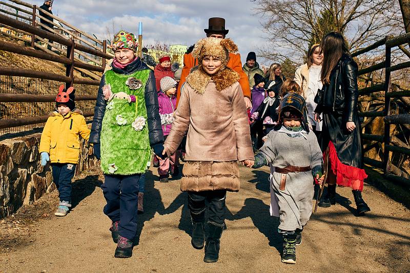 Vyhánění zimy v plzeňské ZOO. Velký průvod masek se vydal ze sídliště Vinice na statek Lüftnerka, kde se odehrály ukázky některých starých lidových zvyků spojených s předjařím, a po té pokračoval Kilometrovkou až před radnici na náměstí Republiky.