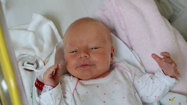 Darja Pavlovská z Chanovic přišla na svět v písecké porodnici 27. listopadu ve 4.30 hodin. Dcera maminky Lucie a tatínka Stanislava při narození vážila 3450 g a měřila 49 cm.
