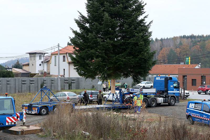 vánoční strom pro Plzeň soukromá zahrada Kařez